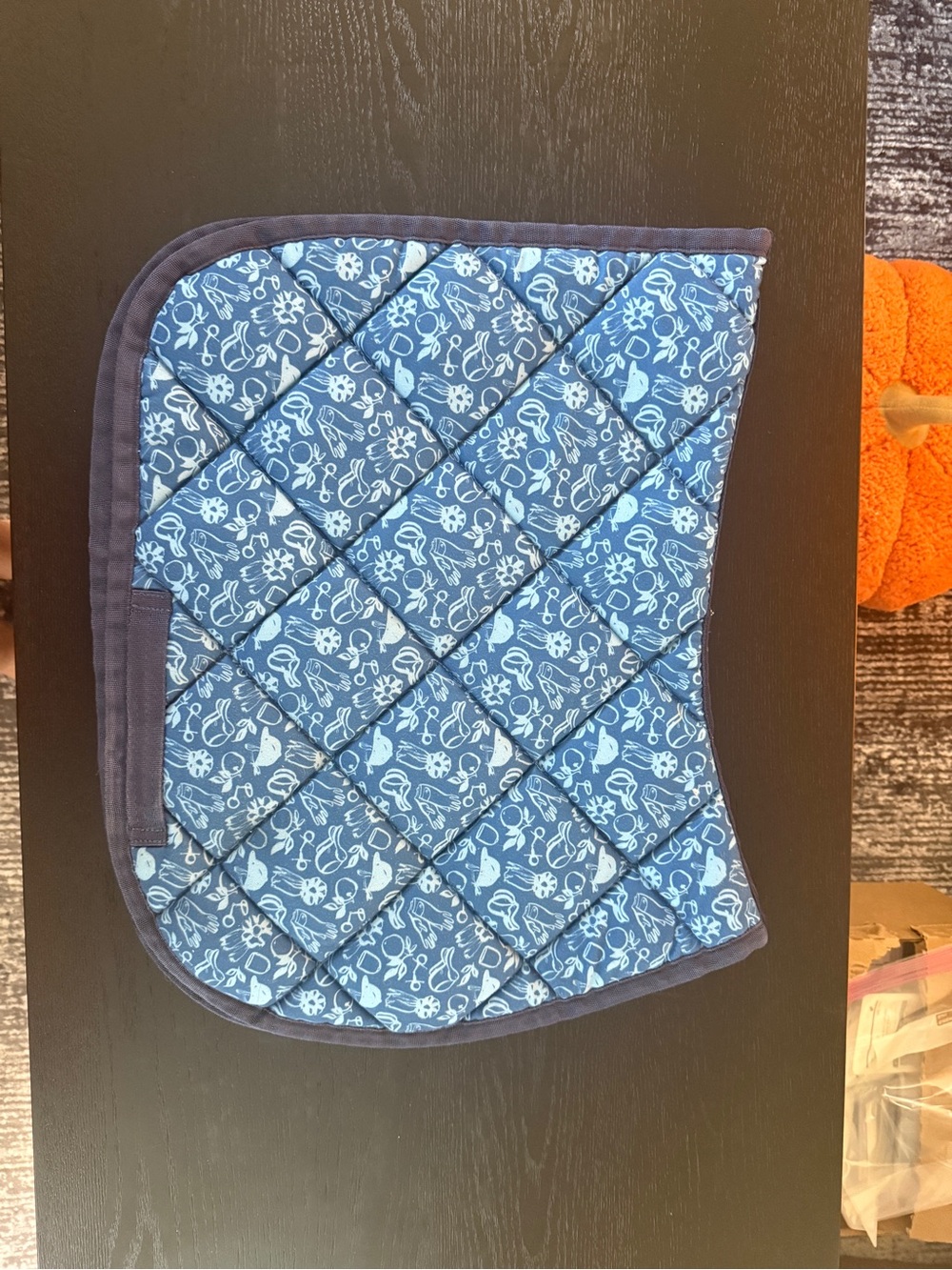 Dreamer and Schemers Pony Saddle Pad